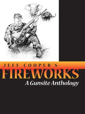 cover image of Fireworks